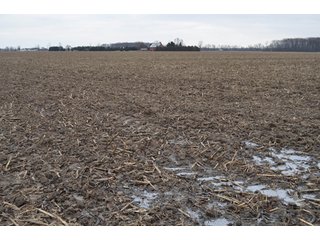 Property photo 9 - 175 Acres Offered in 5 Tracts - Tontogany, Ohio Farm Land Auction